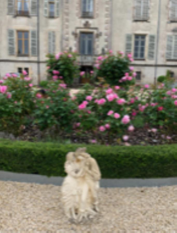 Chateau Pont Jarno B&B Champdeniers Экстерьер фото