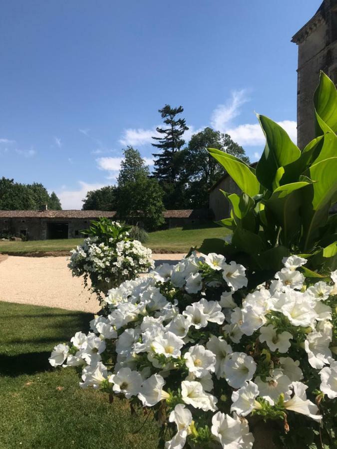 Chateau Pont Jarno B&B Champdeniers Экстерьер фото